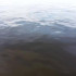 "Вода России". 18 июня в Амгинском районе состоится субботник ко Дню реки Амга