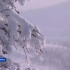 Порывистый ветер и метель. Прогноз погоды в Якутии на 22 февраля