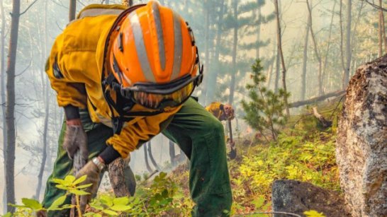 В Якутии действуют 174 лесных пожара