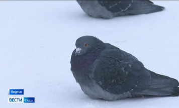 6 февраля. День в истории - даты, события