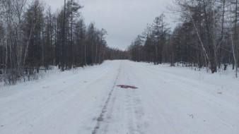В Мегино-Кангаласском районе обнаружили тело мужчины на проезжей части