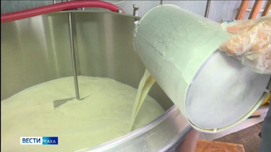 Якутия заняла третье место среди регионов Дальнего Востока по производству молока