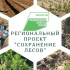 Более 780 тысяч гектаров леса восстановили в Якутии