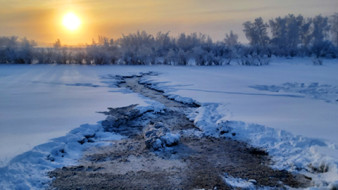 Водителю ассенизатора за слив фекалий в местности Үс Хатыҥ грозит возмещение ущерба 