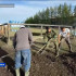 60 бойцов стройотрядов помогают ликвидировать последствия паводка в пяти населённых пунктах Верхоянского района