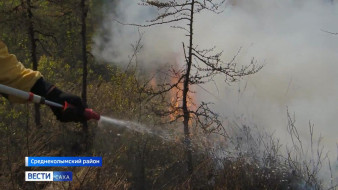 В Якутии за прошедшие сутки ликвидировано три лесных пожара