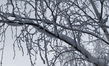 Прогноз погоды в Якутии на 8 декабря