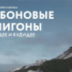 Фильм "Карбоновые полигоны: настоящее и будущее" покажут в Якутске в рамках Северного форума