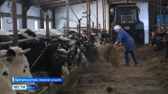"Эмис соболоох" хаһаайыстыбаҕа үрүҥ илгэ кыһыннары үрүлүйэр