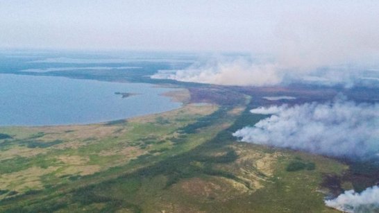 Околo тысячи человек задействовано на тушение природных пожаров в Якутии