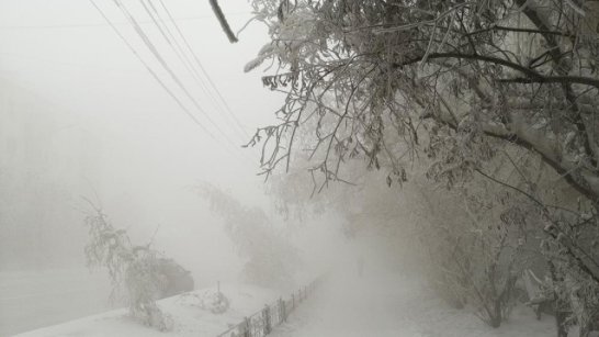 До -46°С. В Якутске предстоящей ночью похолодает