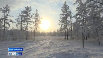 29 ноября свыше 6 метеостанций Якутии зафиксировали температуру воздуха -45°С и ниже