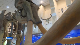 В Якутии создали рабочую группу по госрегулированию сферы обращения объектов мамонтовой фауны