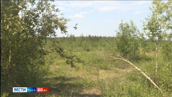 Выпуск "Вести Саха" 04.06.2025 (11:30)