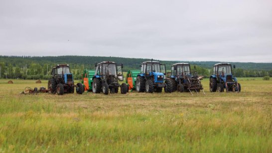 Более 800 тонн сена заготовлено в Амгинском районе Якутии