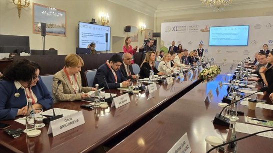 Ольга Балабкина презентовала проект "Полет Стерха" на Невском международном экологическом конгрессе