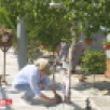 В Якутске благоустроят 16 дворовых территорий в этом году