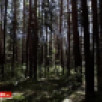 Прогноз погоды в Якутии на 16 июня