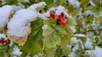 Прогноз погоды в Якутии на 8 октября