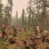 Подписан сводный план тушения лесных пожаров в 2023 году на территории Якутии 
