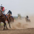 Скакун Йортен одержал победу на XX юбилейных конных скачках на приз Главы Якутии