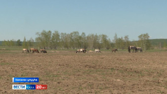 Ходуһалары төһө туһаналларын бэрэбиэркэлииллэр