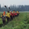 В Якутии с начала пожароопасного сезона ликвидировано 146 лесных пожара