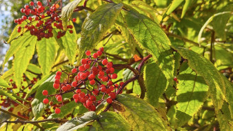 Прогноз погоды в Якутии на 8 сентября