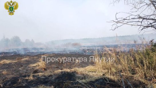 В Якутии суд взыскал с виновника лесного пожара средства на тушение