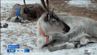 Выпуск "Вести Саха" 17.11.2025 (09:30)