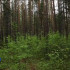За неделю в Ленском районе ещё 20 человек пострадали от укусов клещей