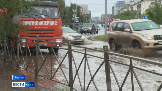 Синоптики прогнозируют сильные дожди и грозы на большей части Якутии