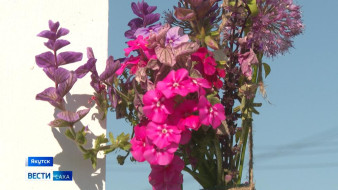 Сотрудники ботанического сада Якутска начали подготовку к осеннему сезону