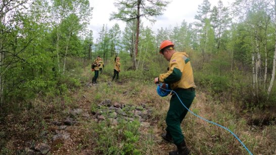 В Якутии действует 123 природных пожара