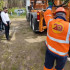 В конце августа в парке Победы Якутска высадят 15 высоких елей