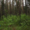 За неделю в Ленском районе ещё 20 человек пострадали от укусов клещей