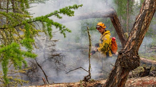 Более пяти тысяч человек задействованы в тушении лесных пожаров в России