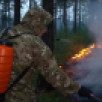 В Якутии за сутки обнаружен один лесной пожар