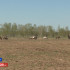 Ходуһалары төһө туһаналларын бэрэбиэркэлииллэр