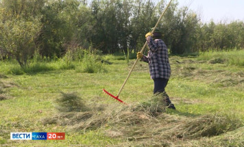 Быйыл от кэмигэр кураан буолара сылыктанар