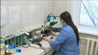 В Якутии создали вакцину от мыта лошадей