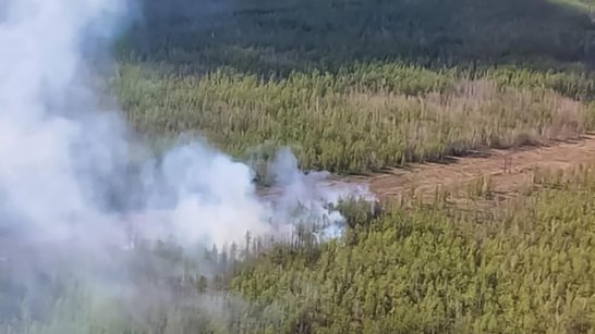 На территории Хангаласского района обнаружен лесной пожар