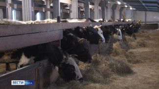 В Якутии реализуются меры поддержки малого и среднего бизнеса в сельском хозяйстве