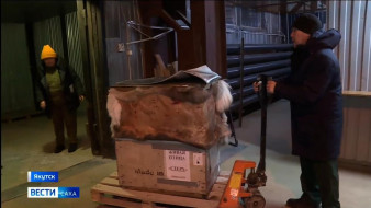 Найденный в Усть-Янском районе стерх будет находиться под присмотром специалистов в зоопарке "Орто Дойду"