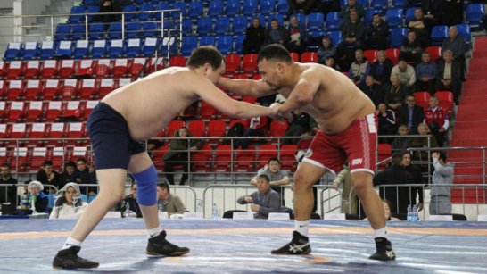 Мирный впервые примет Всероссийские соревнования по вольной борьбе