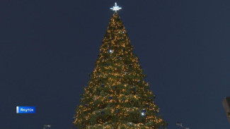В Якутске состоится торжественное зажжение огней главной новогодней ёлки республики