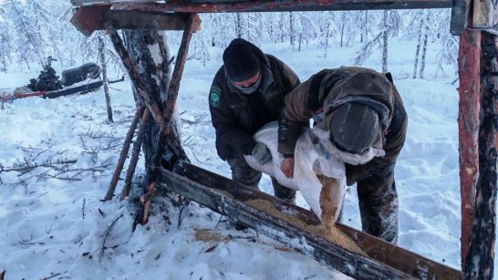 В Нюрбинском районе инспекторы проводят мероприятия для сохранения популяции диких животных