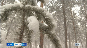 Выпуск "Вести Саха" 15.12.2025 (09:30)