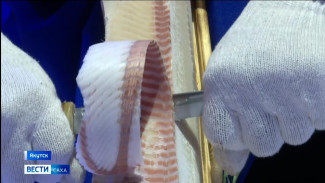 В Якутске завершился ежегодный республиканский конкурс "Строганина-2025"