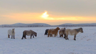 Муҥутуур кылгас күн